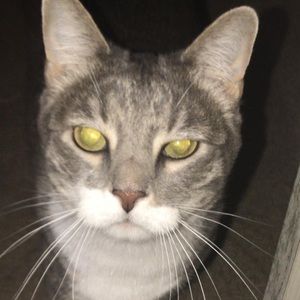 Meet your Posher, Kate